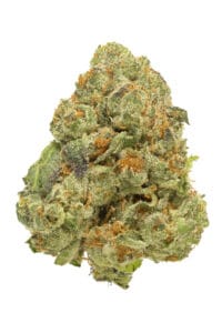 Gelato Mints