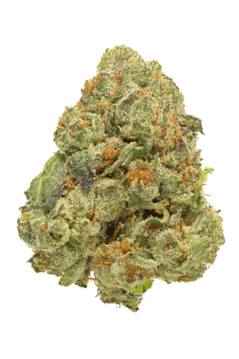 Gelato Mints