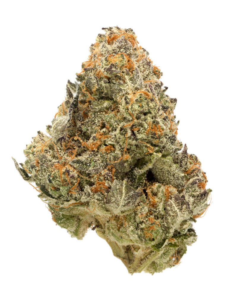 Road Block – Goldflower Indica Flower