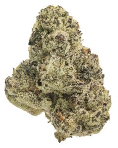 Blue Lobster strain from The Flowery in Florida