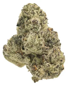 Blue Lobster strain from The Flowery in Florida