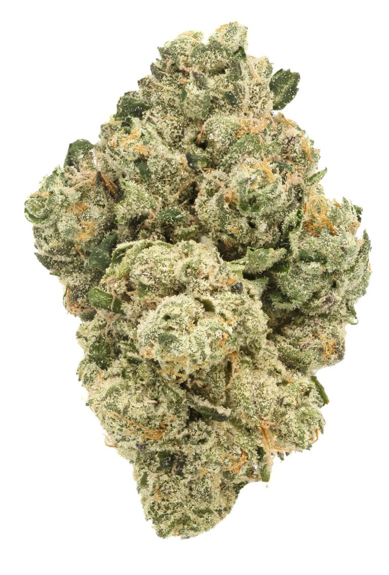 New Yorker strain from The Flowery in Florida