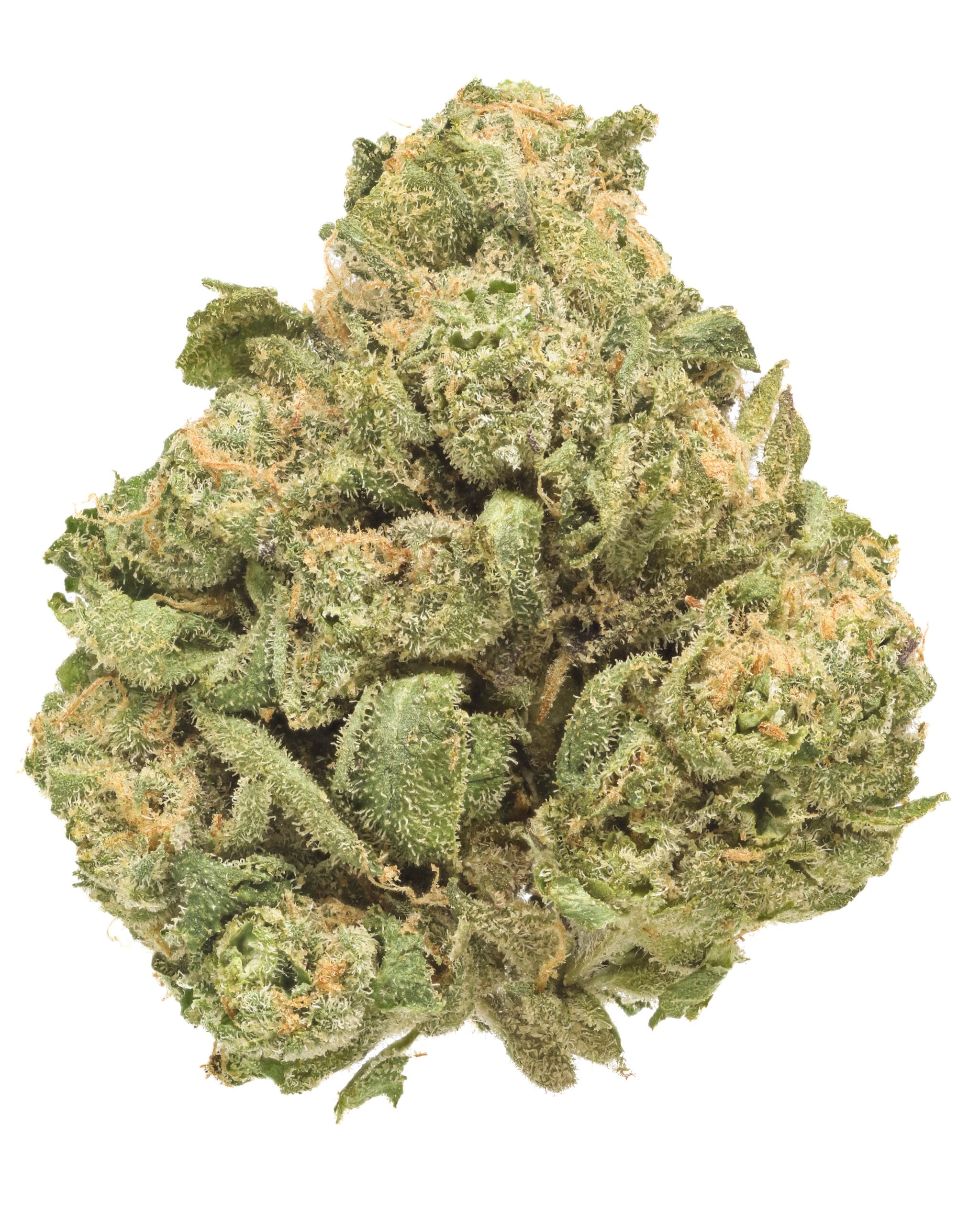 Stripper Money - Fluent