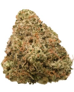 Papaya Drip #07 - Curaleaf