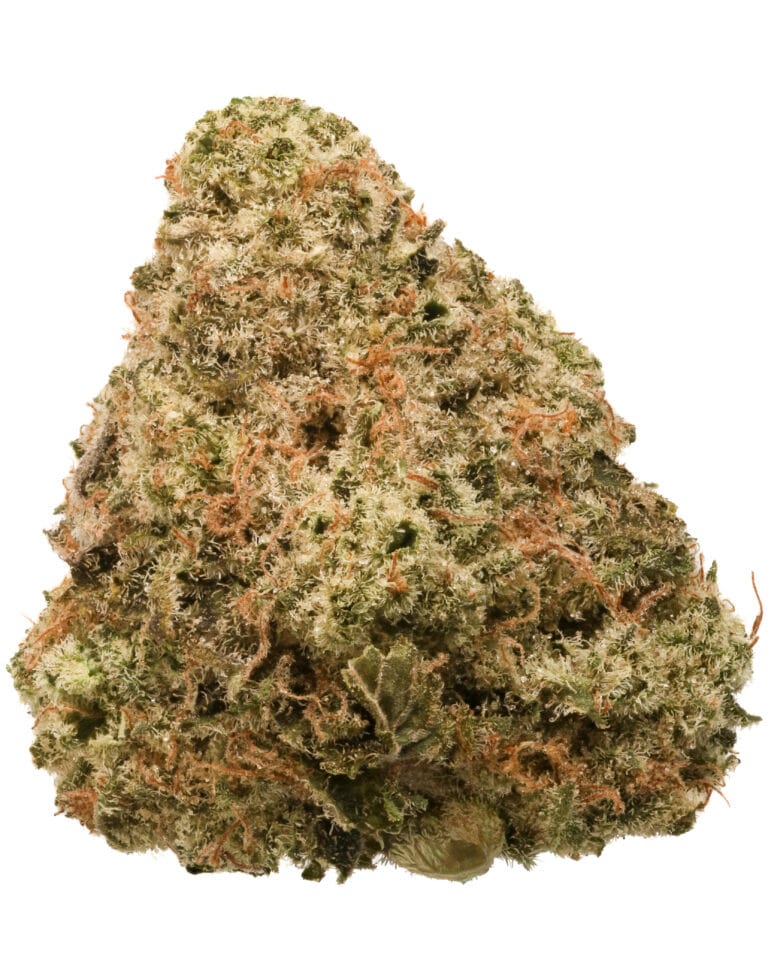 Papaya Drip #07 - Curaleaf