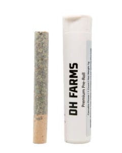 Gucci Berries PreRoll - Goldflower