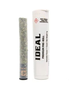 Street Sweets PreRolls - Goldflower