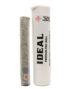 The Legend of Jack - PreRoll - Goldflower