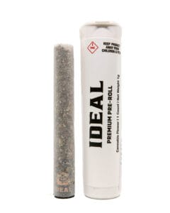El Chivo Prerolls - Goldflower