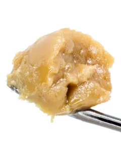 Blueberry Banana Live Resin Budder - Cookies