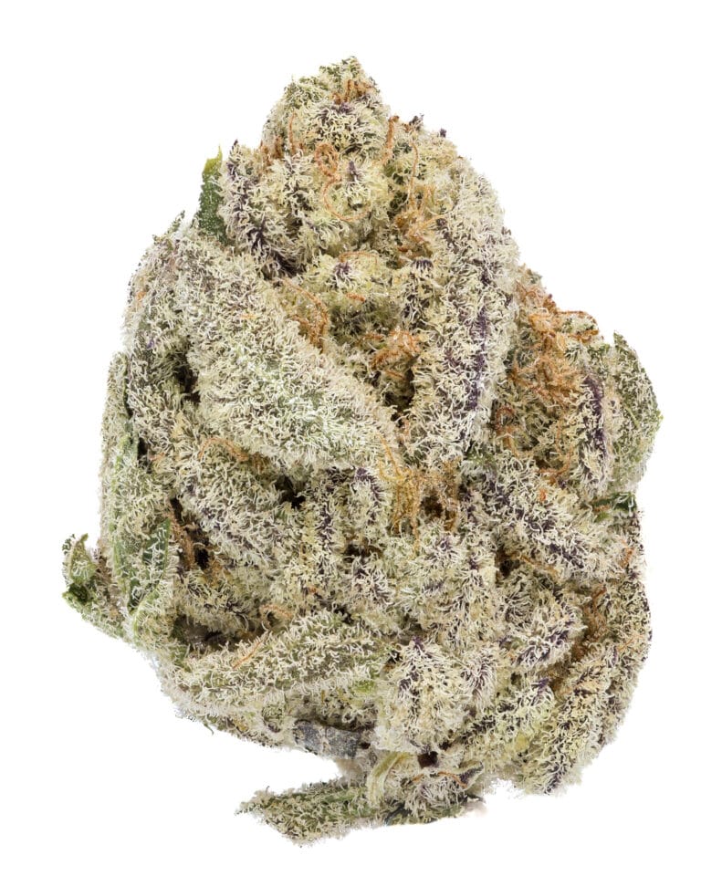 Dante’s Inferno #8 flower by Planet 13 showing frosty trichome coverage