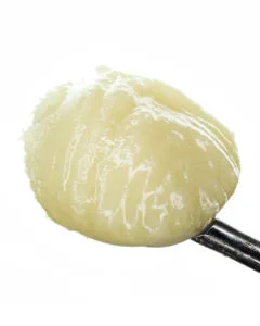 Garlic Drip live rosin 1g from Cookies Orlando concentrate close-up