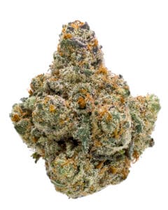 Gelonade - Cookies