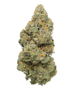 Ice Cream Cake strain flower (Cookies Florida) – THC and terpene profile