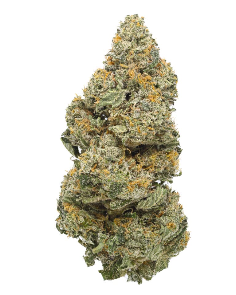 Ice Cream Cake strain flower (Cookies Florida) – THC and terpene profile