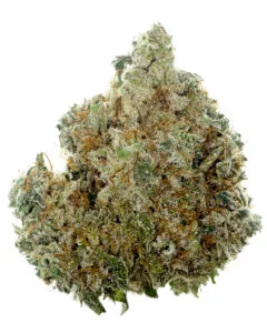 Maracuya flower by Cookies close-up showing dense trichome coverage