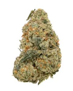 Peach Fuzz flower from Cookies Florida – strain review photo
