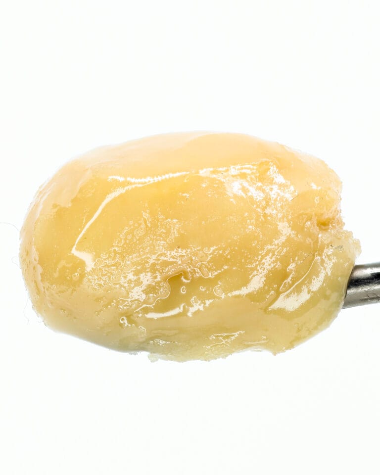 Pineapple Donut Live Rosin by Curaleaf (1g) concentrate in jar