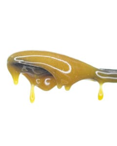 Pneuma live resin budder from Cookies concentrate close-up