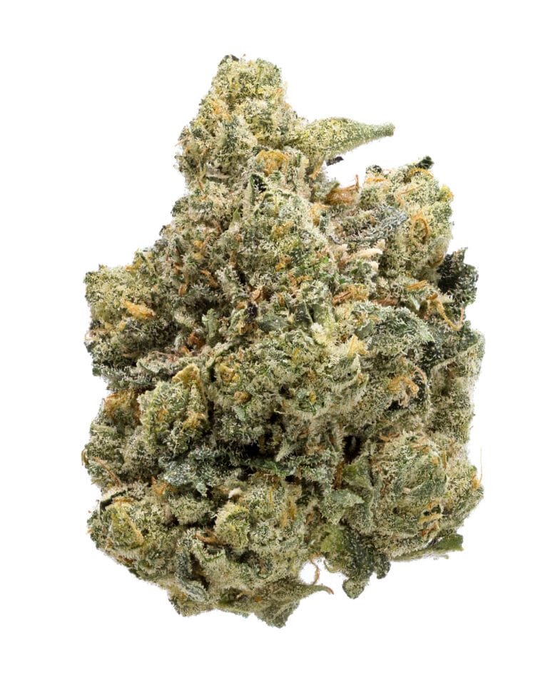 Triple Lindy flower from Cookies Florida – strain review photo