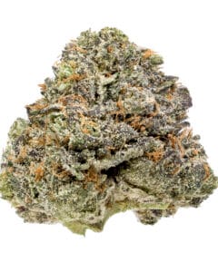 Vanilla Crème Pie strain from Fluent - cannabis flower buds close-up