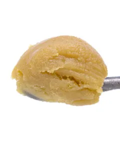 Blue Gummiez Live Resin Budder by Cookies indica hybrid concentrate golden budder texture