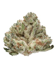 Gaszilla strain indoor flower by Doghouse GG4 x Gas Face