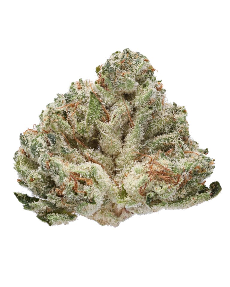 Gaszilla strain indoor flower by Doghouse GG4 x Gas Face