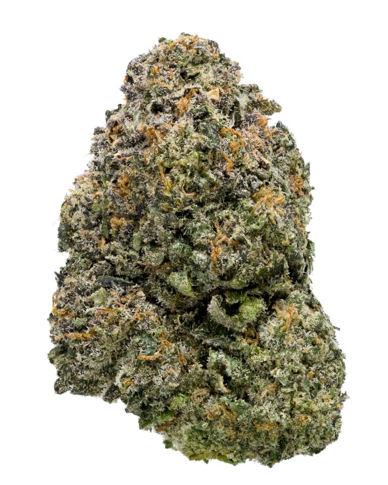 Gunpowder flower by Cookies Orlando showing dense trichome coverage