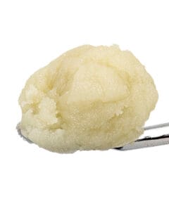 Hash Burger Live Rosin Badder solventless concentrate by Goldflower creamy golden rosin texture