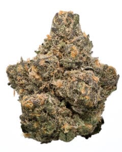London Pound Cake 75 flower by Cookies Orlando showing purple buds and orange hairs