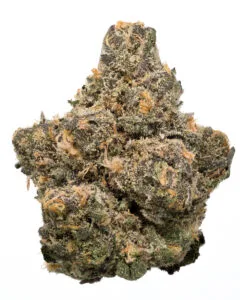 London Pound Cake 75 flower by Cookies Orlando showing purple buds and orange hairs