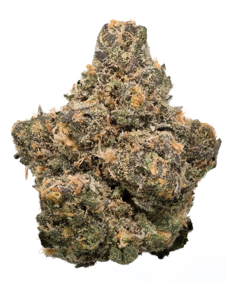 London Pound Cake 75 flower by Cookies Orlando showing purple buds and orange hairs