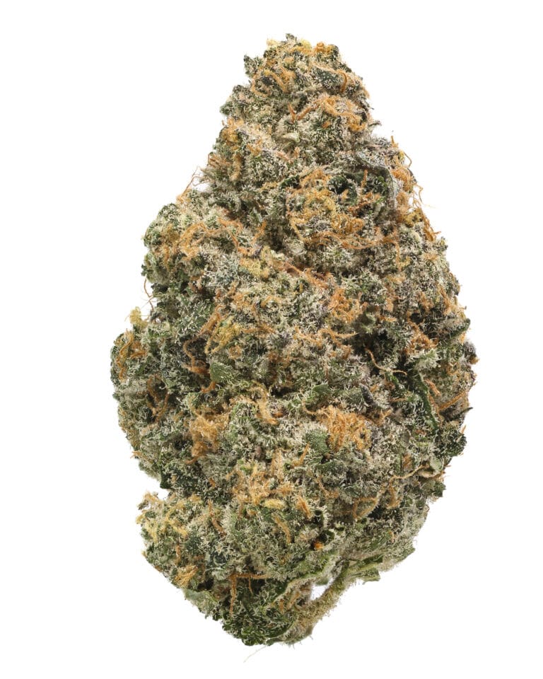 Rocket Power premium flower by Cookies hybrid cannabis strain