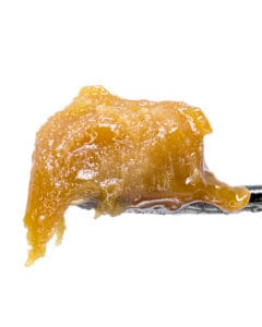 Rotten Papaya Live Resin Budder by Cookies Florida Natures Lab Extracts