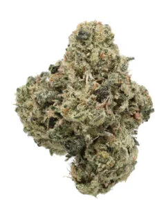 White Cherry Gelato premium flower by Cookies hybrid cannabis strain