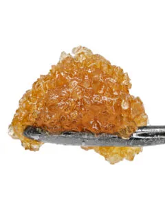 White Tropic Live Resin Sugar by Cookies hybrid concentrate golden amber terpene-rich texture