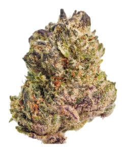 Fat Albert flower by Sunburn