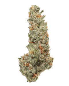 Flosidos flower by Goldflower