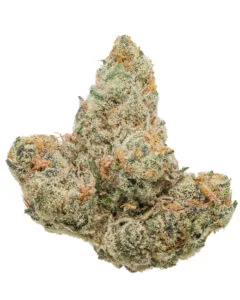 Moonwalkers flower by Cookies Florida