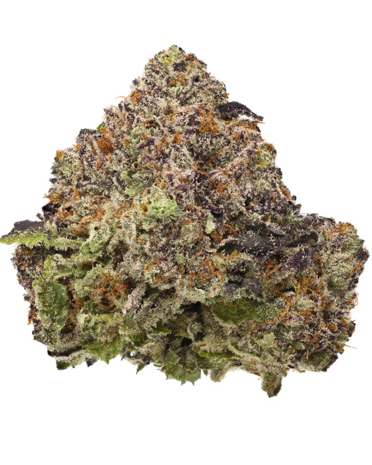 Rum Cake flower by Goldflower