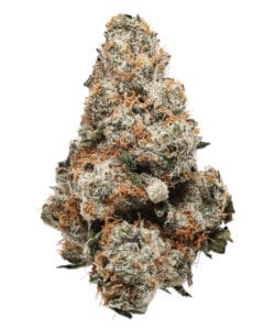 Giggin Grapes #7 flower by Reef at Curaleaf