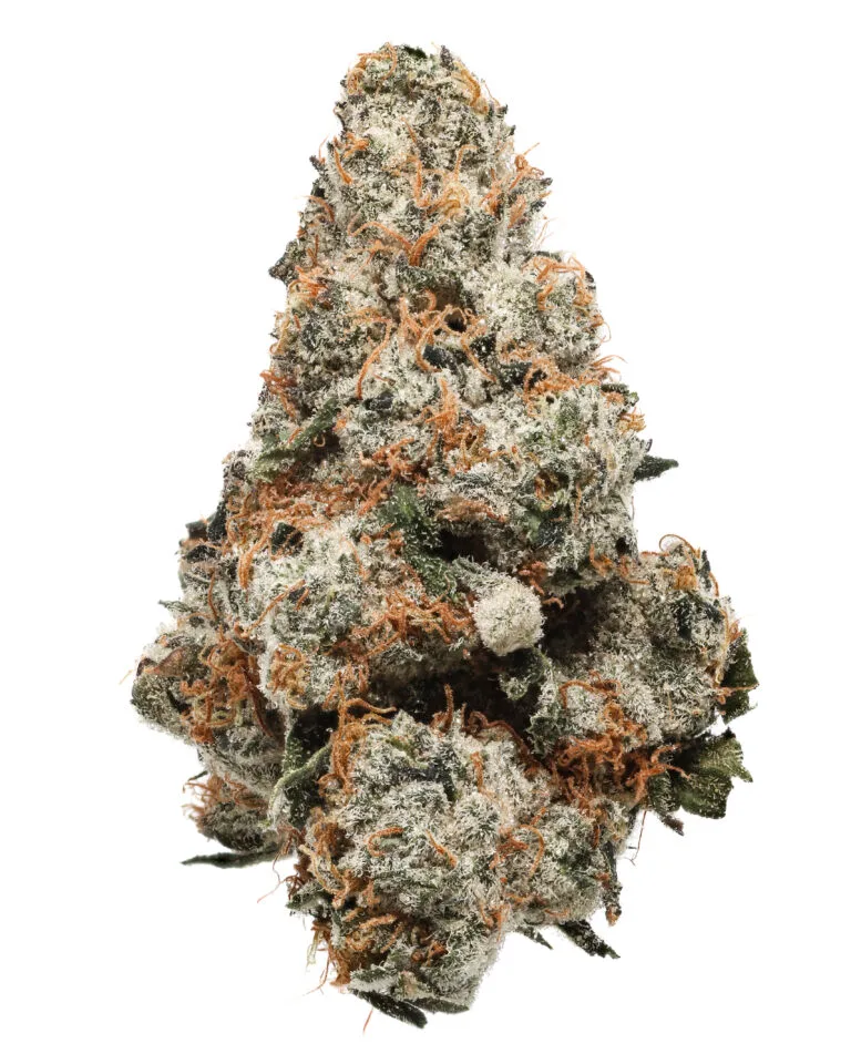 Giggin Grapes #7 flower by Reef at Curaleaf