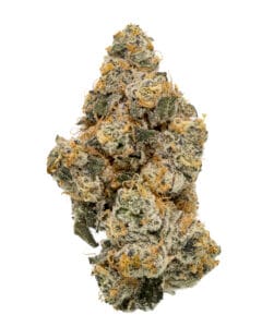 Mad Rabbid #5 flower by Curaleaf