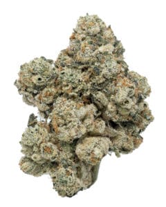 G-Ride Jungle Boys premium flower