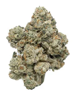 G-Ride Jungle Boys premium flower