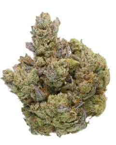 Gorilla Glue #4 flower by Goldflower