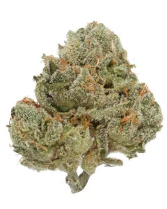 Skinny Louiez flower by Eden