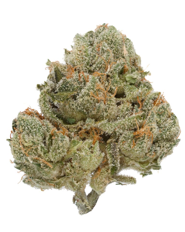 Skinny Louiez flower by Eden