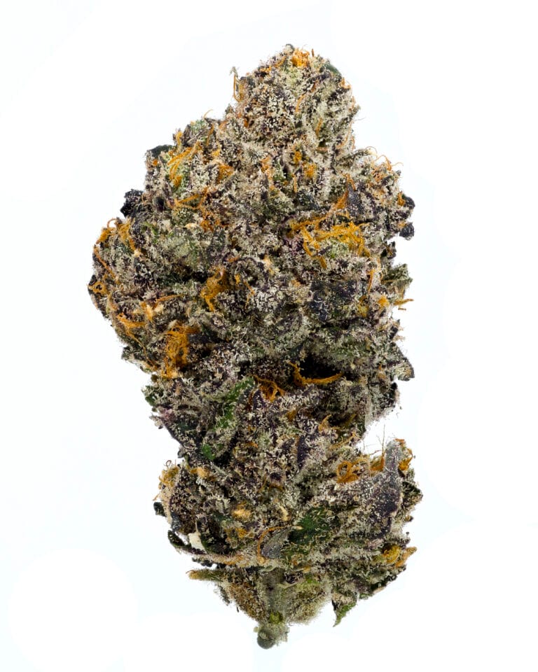 Slamthony Edwards flower by Goldflower